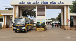 Khối lượng vận chuyển và doanh thu vận tải tăng cao