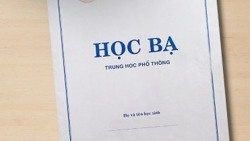 Những học bạ đẹp như mơ