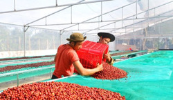 Cần sự đột phá thu hút đầu tư