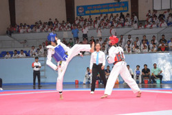 Hơn 500 võ sinh tranh tài tại giải vô địch các lứa tuổi Taekwondo tỉnh