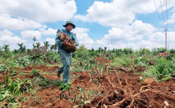 Huyện Krông Pắc: Sôi nổi khí thế bàn giao mặt bằng Dự án cao tốc Khánh Hòa - Buôn Ma Thuột