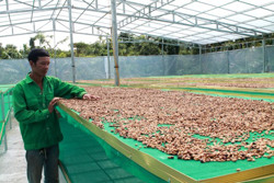 Giải thể Quỹ hỗ trợ sáng tạo khoa học kỹ thuật tỉnh