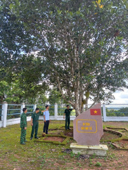 Cây mít tổ ở bon Bu P’Răng