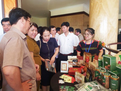 Đẩy mạnh kết nối du lịch rừng với biển giữa Tây Nguyên và Phú Yên