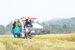 Điểm sáng nông nghiệp