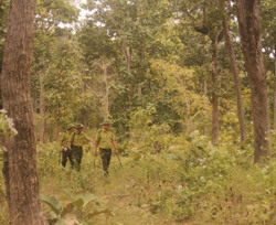 Tăng trưởng kinh tế Đắk Lắk đến năm 2025 đạt hơn 7%/năm