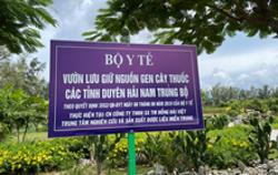 Tiền thuốc trung bình của người Việt khoảng 75 USD/năm