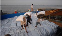 Ấn Độ cấm xuất khẩu gạo, Bộ Công Thương có chỉ đạo hoả tốc