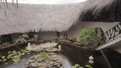 Độc đáo quán cà phê chim cảnh