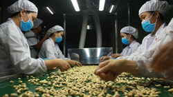 Thận trọng khi xuất khẩu nông sản