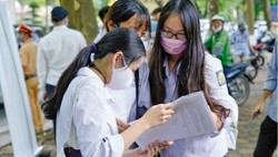 Không chọn trường theo 'hiệu ứng' đám đông