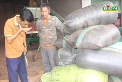 Người trồng cà phê Đắk Nông được dạy... thử nếm cà phê