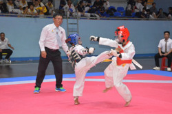 Giải vô địch các lứa tuổi Taekwondo tỉnh: Đoàn Ea Kar 1 đoạt giải Nhất toàn đoàn