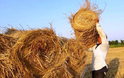 Ngày 5/7, nhiều khu vực nắng nóng và nắng nóng gay gắt