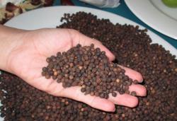 Nguy cơ mất lô hàng hơn nửa triệu USD khi xuất vào UAE, Thủ tướng chỉ đạo "khẩn"