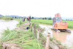 Chủ động phòng chống sạt lở, bảo đảm an toàn tính mạng, tài sản của nhân dân trước và trong mùa mưa lũ