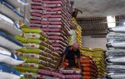 Dự báo nóng về giá gạo thế giới