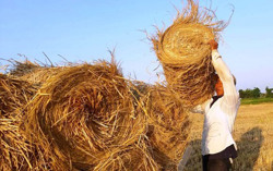 Ngày 14/8, nhiều tỉnh thành trên cả nước nắng nóng gay gắt 