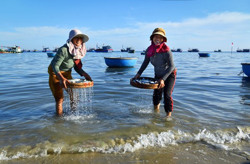 Cuộc thi ảnh nghệ thuật cấp quốc gia “Tổ quốc bên bờ sóng” lần thứ II