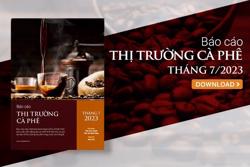 Thị trường cà phê tháng 7/2023: Đà tăng giá cà phê có thể chững lại dù hàng tồn kho cạn kiệt
