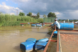 Chủ động bảo vệ thủy sản nuôi trong mùa mưa bão