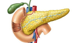 Viêm tụy cấp - căn bệnh nguy hiểm ở trẻ nhỏ