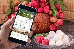 Đưa đặc sản địa phương lên sàn