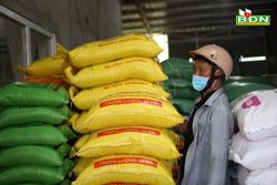 Đắk Nông triển khai bình ổn thị trường gạo