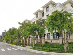 Bất động sản sẽ sớm tan băng theo chu kỳ (?!)