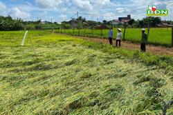 Dông lốc gây thiệt hại hơn 100 triệu đồng tại xã Nam Dong