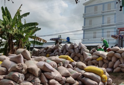 Giá gạo quay đầu tăng