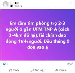 Sinh viên "dàn trận" tìm trọ online