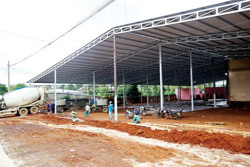 Xây dựng kho, bãi vụ mùa sầu riêng: Tiềm ẩn nhiều nỗi lo (Kỳ 1)