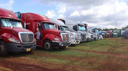 Xây dựng kho, bãi vụ mùa sầu riêng: Tiềm ẩn nhiều nỗi lo (Kỳ 2)