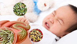 Trẻ nhiễm giun sán gây mệt mỏi, chán ăn, thiếu máu