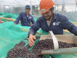 Thúc đẩy tăng trưởng, giảm áp lực cho doanh nghiệp