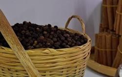 Trung Quốc nhập hồ tiêu Việt Nam cao gấp 8 lần cùng kỳ năm ngoái