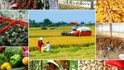 Bảo đảm an ninh lương thực trong mọi tình huống