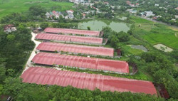 Xử lý nghiêm những trường hợp san lấp mặt bằng trái phép