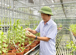 Những tỷ phú “tuổi xế chiều”