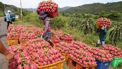 Kiểm soát chặt nông sản xuất khẩu