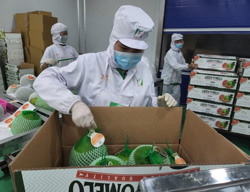 Xuất khẩu nông sản: Tận dụng tiềm năng từ EU