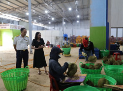 Quản lý thuế mua bán sầu riêng: Không bỏ sót nguồn thu