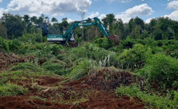 Thay đổi quy định tận thu cây lâm nghiệp sau khi nhà nước bồi thường thực hiện các công trình, dự án