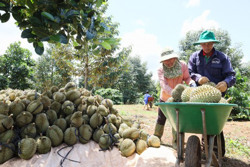Phải “tỉnh” để “nhìn xa”