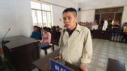 Đắk Lắk: Xử phạt 11 năm tù về tội dùng cây cà phê đánh chết người