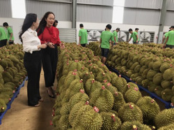 Cần có trách nhiệm với nền nông nghiệp quốc gia