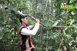 Đọt mây, lá bép – đặc sản núi rừng và món ăn thương nhớ của Đắk Nông