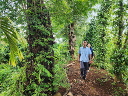 Đề nghị xem xét đơn kêu cứu của người bị khởi tố vì lấy 1 khúc gỗ muồng