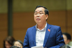 Các 'nhà mạng' chưa cương quyết